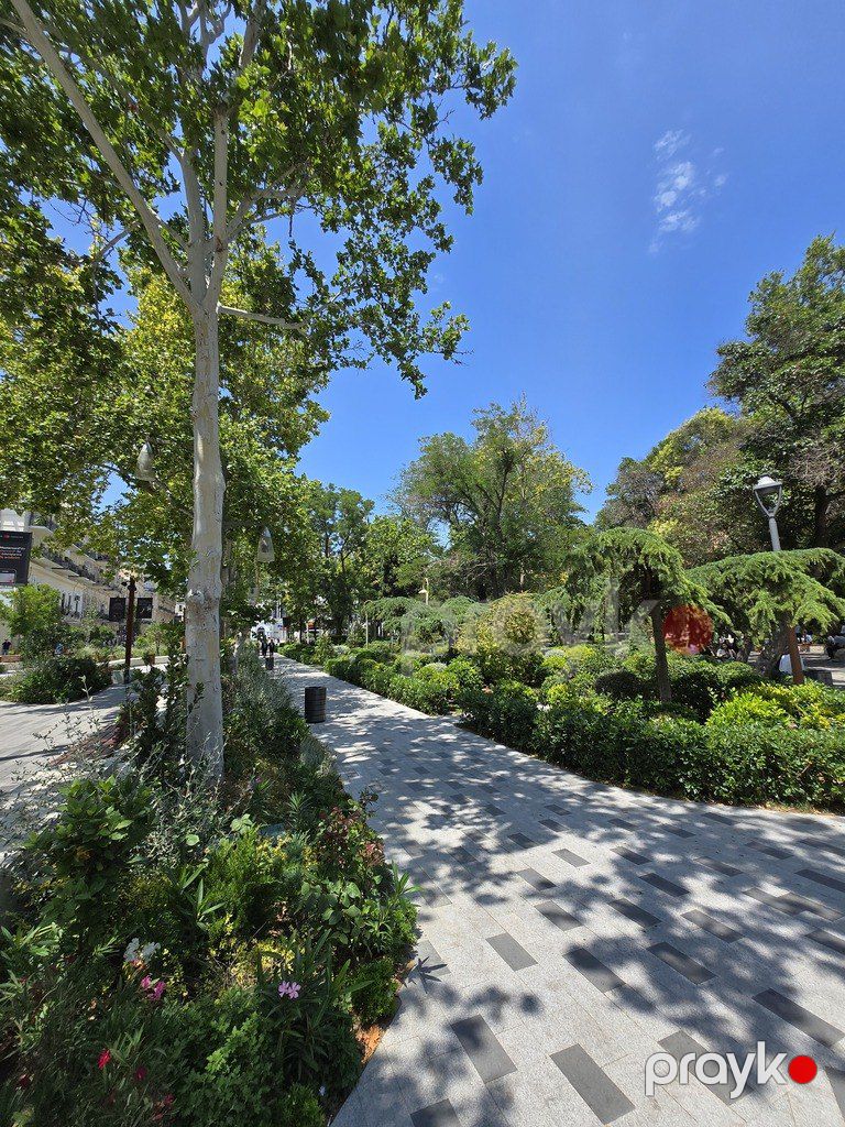 Satılır 7 otaqlı köhnə tikili 245 m² — Mənzil, Bakı (2)