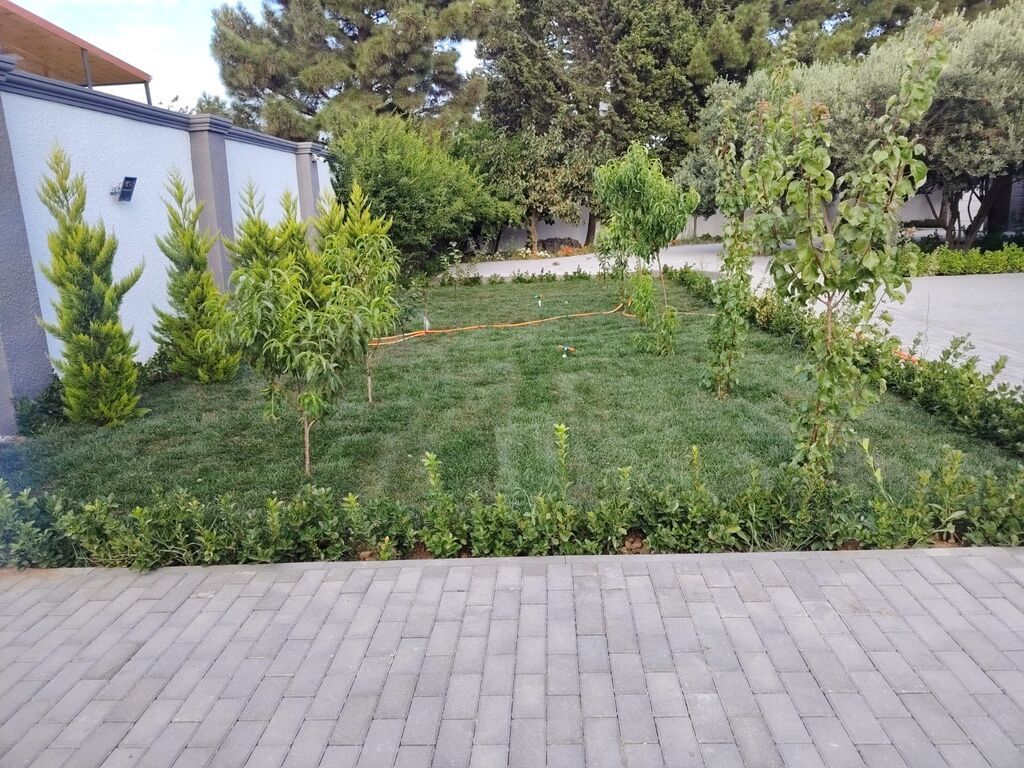 Peçat (ruletka) biçimli hazır qazon və landşaft işləri - Hazır — Landşaft işləri, Digah