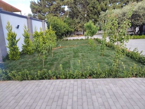 Peçat (ruletka) biçimli hazır qazon və landşaft işləri - Hazır — Digah