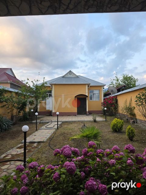 Bağ evi kirayə verilir, Qəbələ ş — Qəbələ