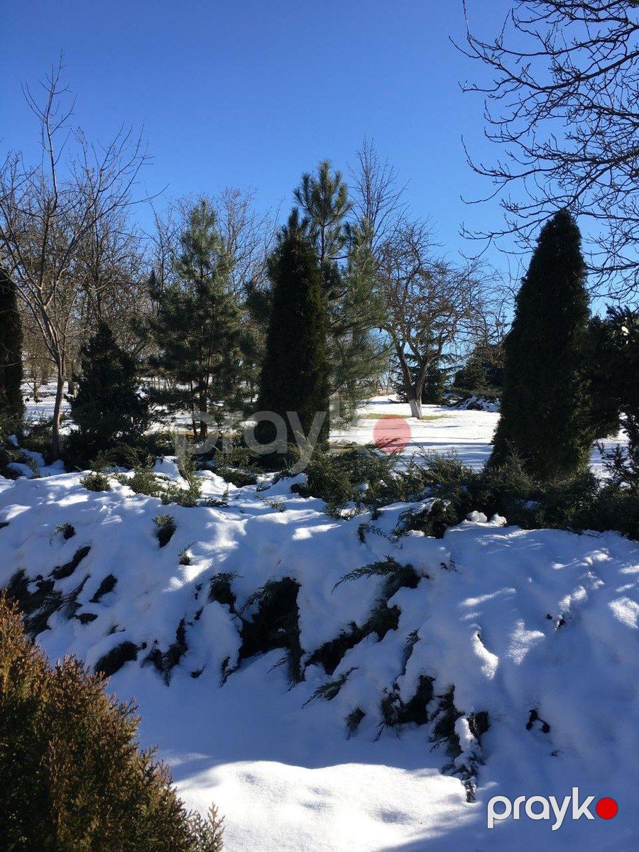 Satılır 4 otaqlı həyət evi/bağ evi 300 m² — Ev, villa, Şamaxı (7)
