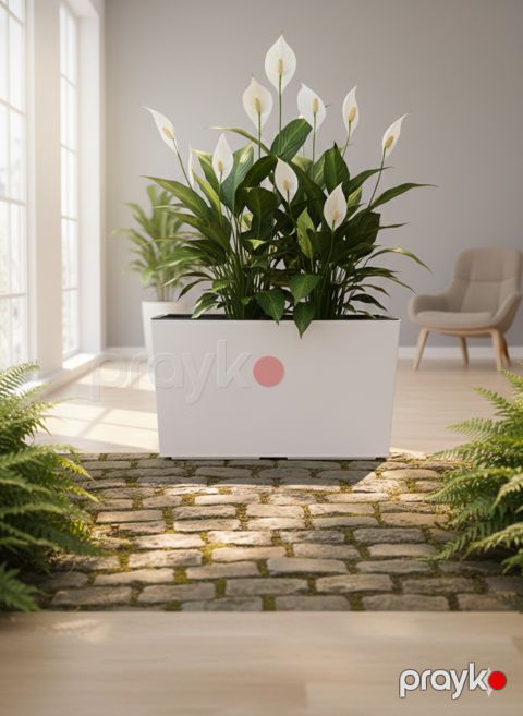 Bitki üçün dibçək, plastik, 60x35x30 sm, 60 l — Bakı