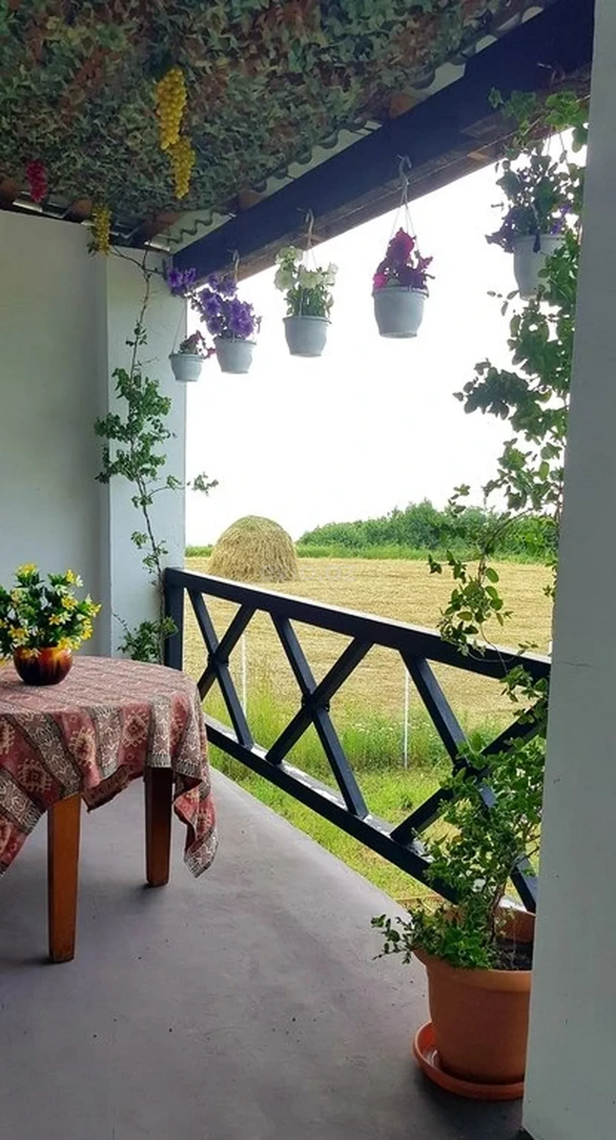 Kirayə 4 otaqlı bağ evi Qusarda — Ev, villa, Qusar (12)