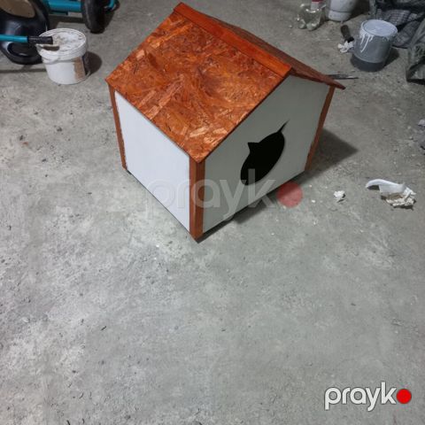 Pişik yuvası şəkildə göründüyündən daha qəşəngdi — Bakı