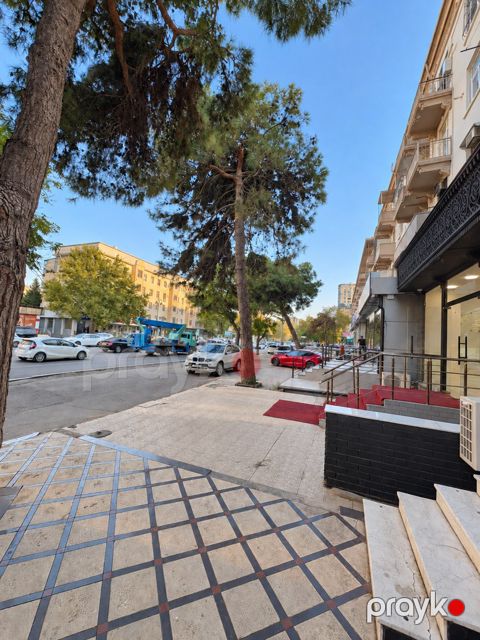 İcarəyə verilir obyekt 101 m² — Bakı