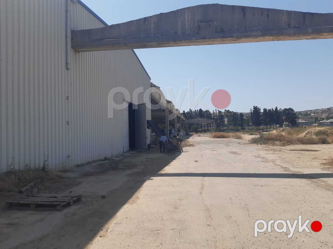 İcarəyə verilir obyekt 213 m² — Əmlak, Bakı (2)