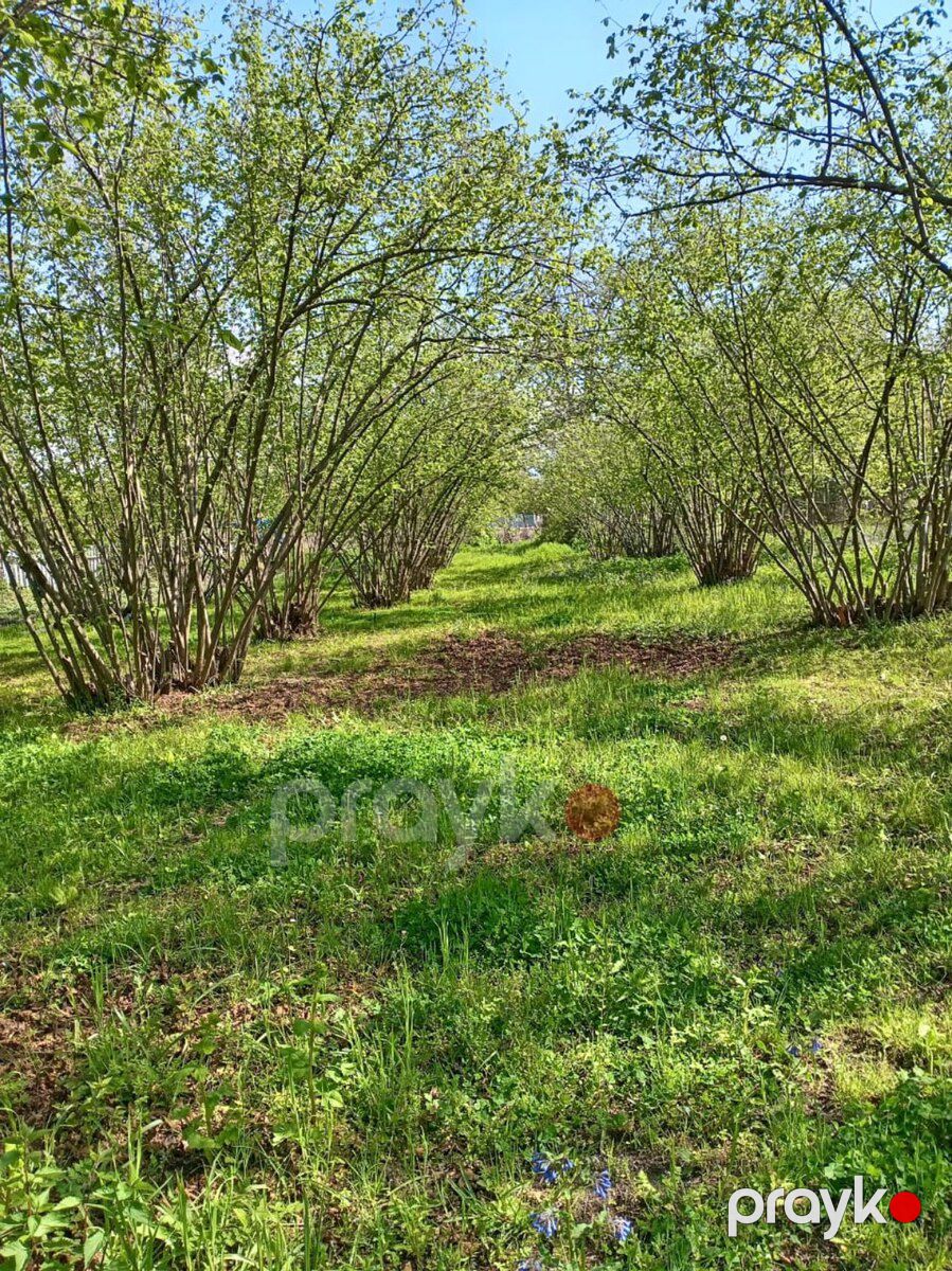30 sot torpaq sahəsi, Oğuz r — Torpaq, Oğuz (3)