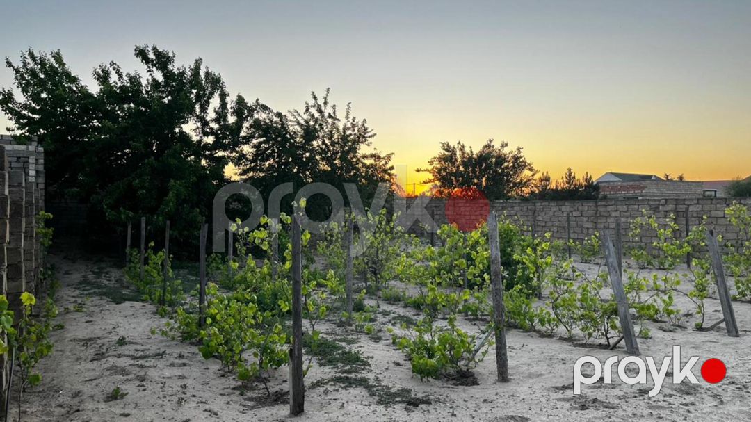 Satılır 2 otaqlı həyət evi/bağ evi 80 m² — Ev, villa, Bakı (4)