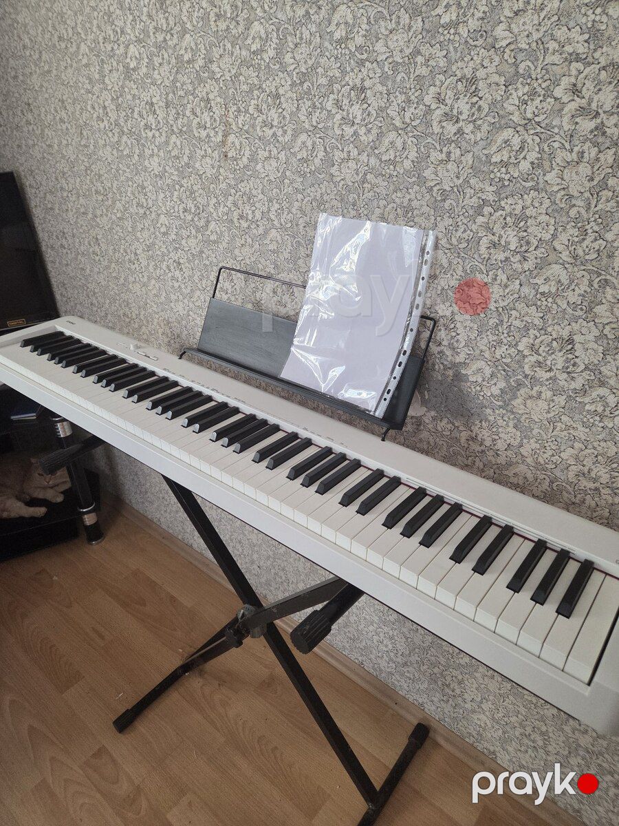 Piano Casio — Musiqiə alətləri, Bakı (3)