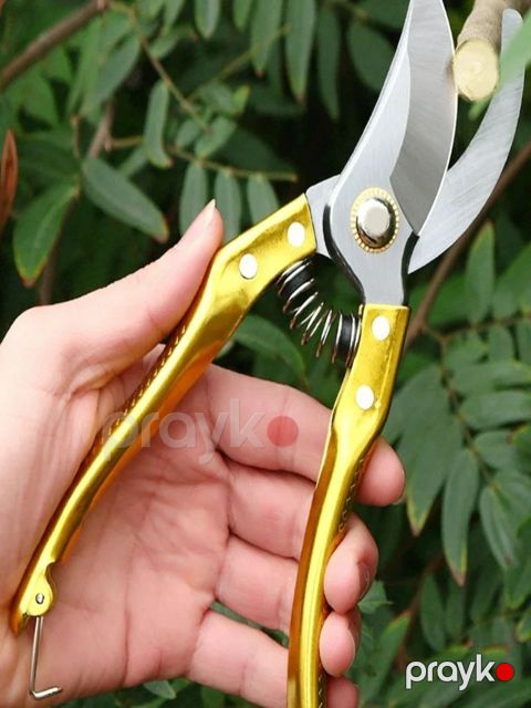Bağ qayçısı YT-90-184, qızılı - YT-90-184 — Bakı