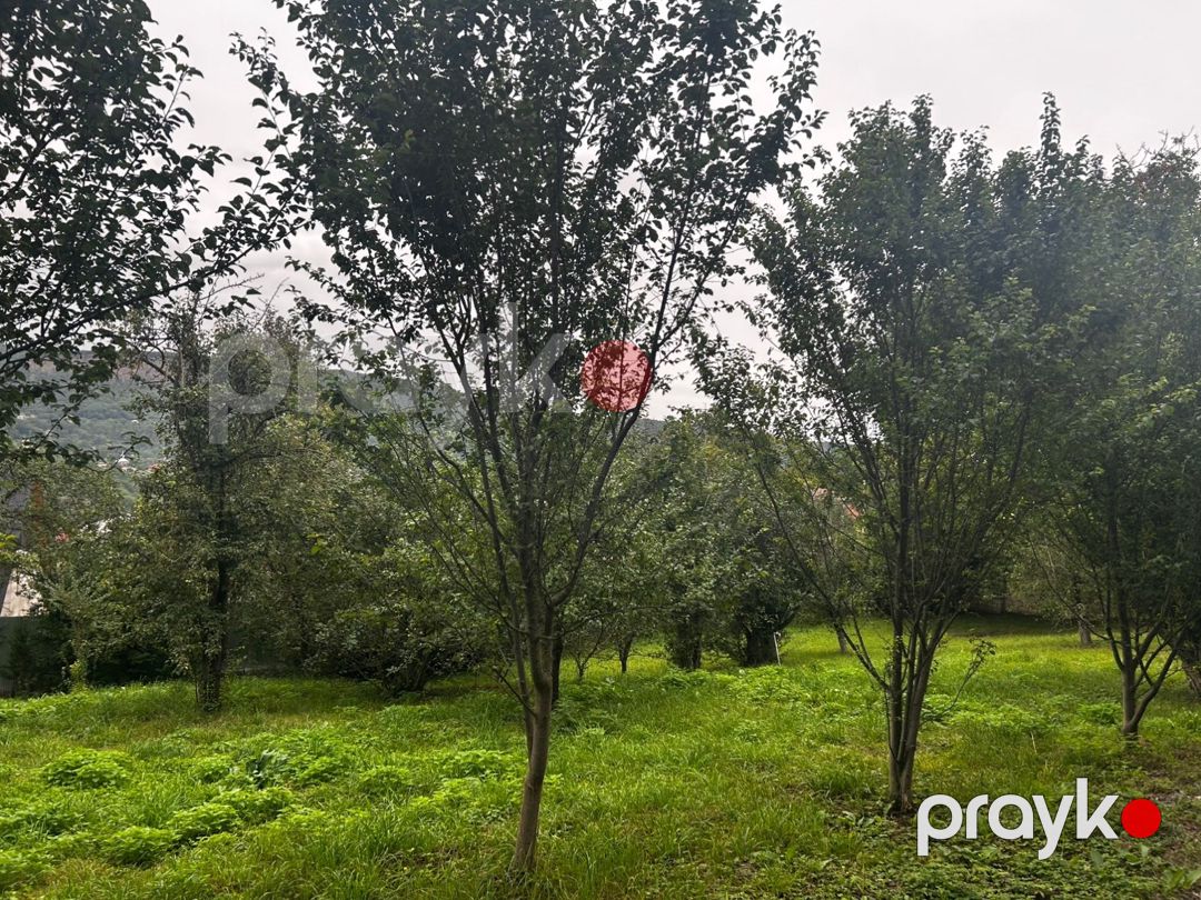 25 sot torpaq sahəsi, Quba r — Torpaq, Quba (7)