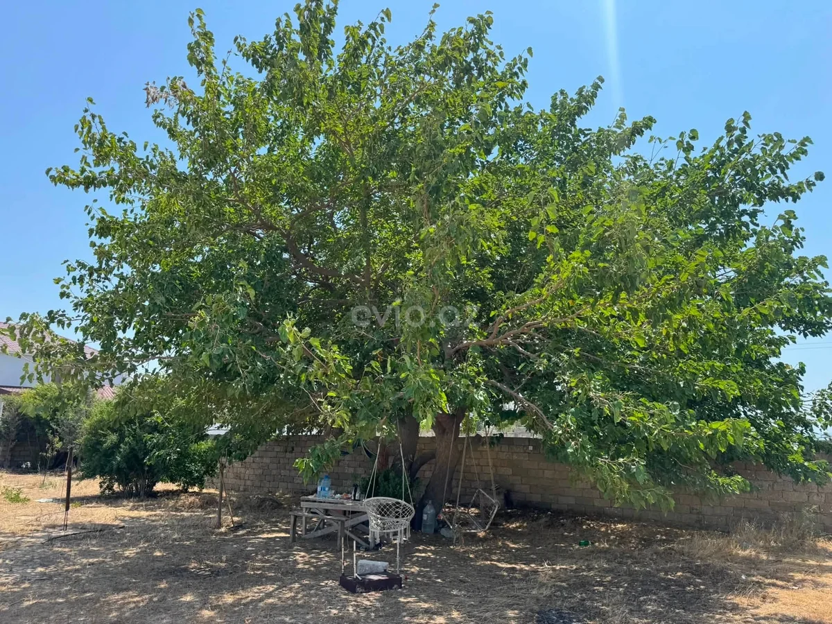 3 otaqlı bağ evi satılır Türkan qəsəbəsində — Ev, villa, Bakı (12)