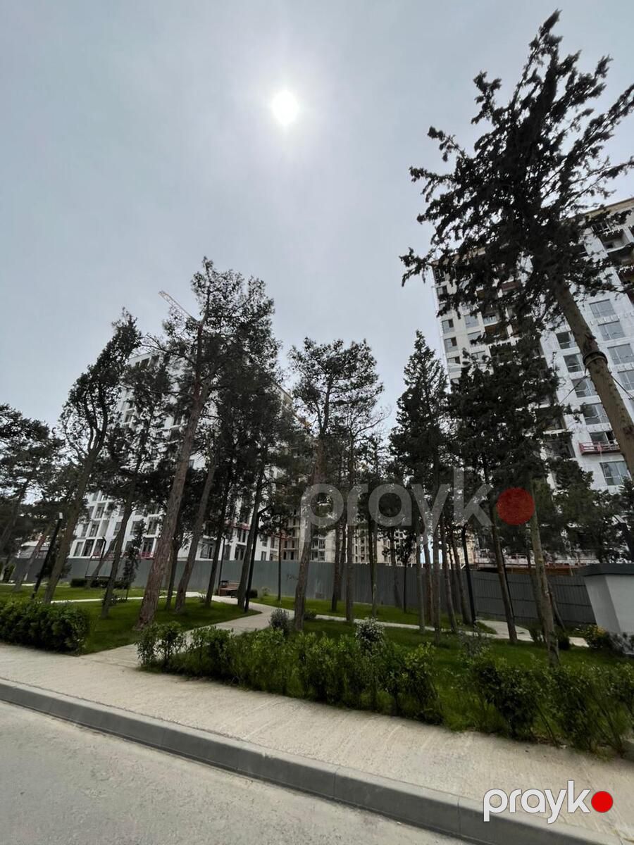 İcarəyə verilir obyekt 68 m² — Əmlak, Bakı (2)