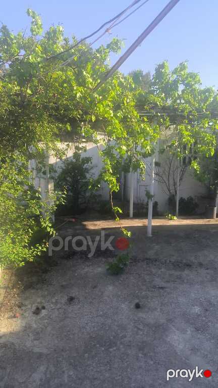 Satılır torpaq 26 sot — Torpaq, Bakı (4)