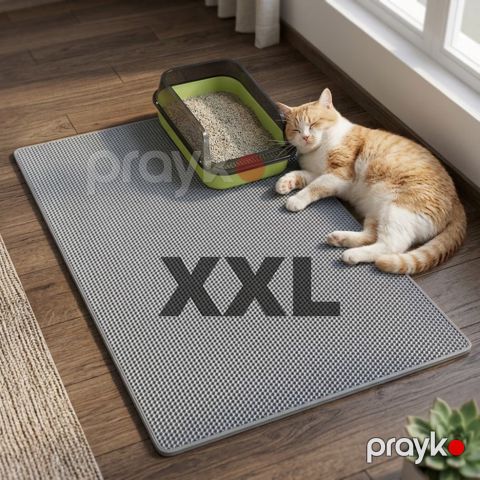 Xalça pişiklər və itlər üçün, EVA — Bakı