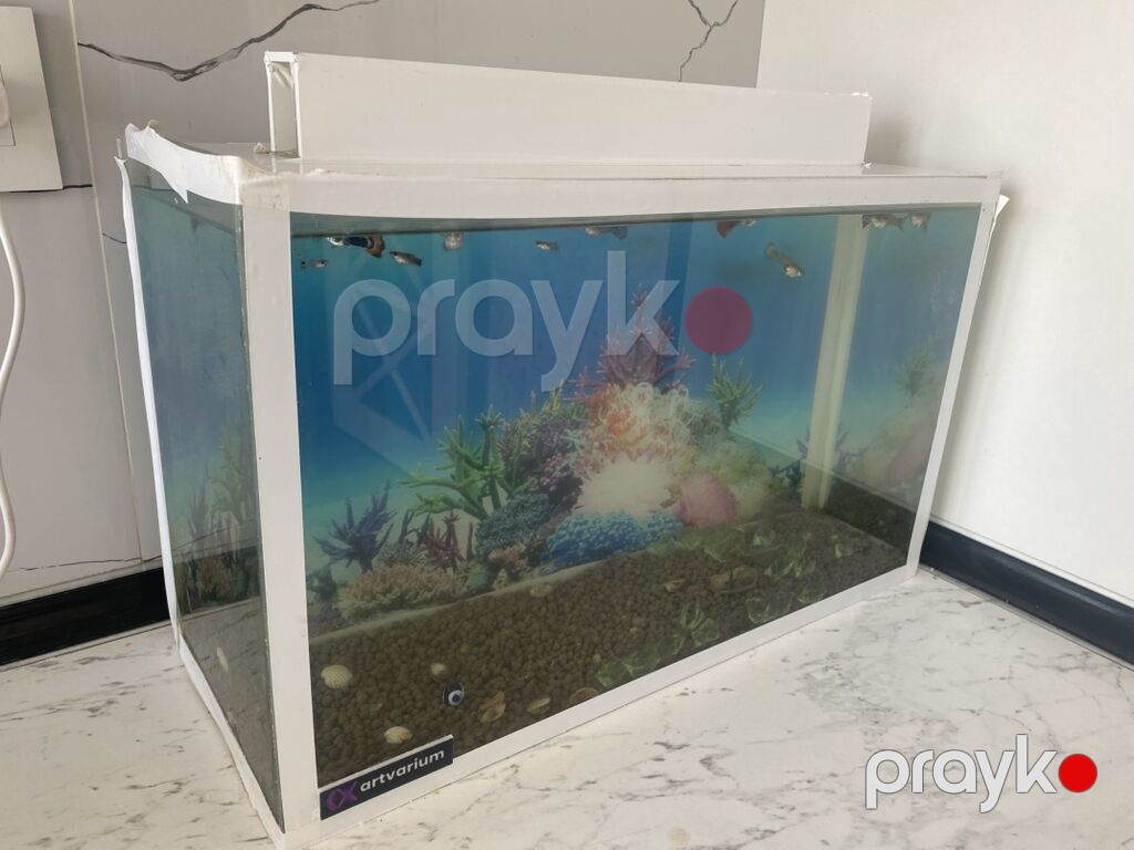 Dördbucaq akvarium, Balıqlarla birlikdə, 20 l, Ünvandan götürmə, Ödənişli çatdırılma — Akvariumlar və balıqlar, Digah (2)