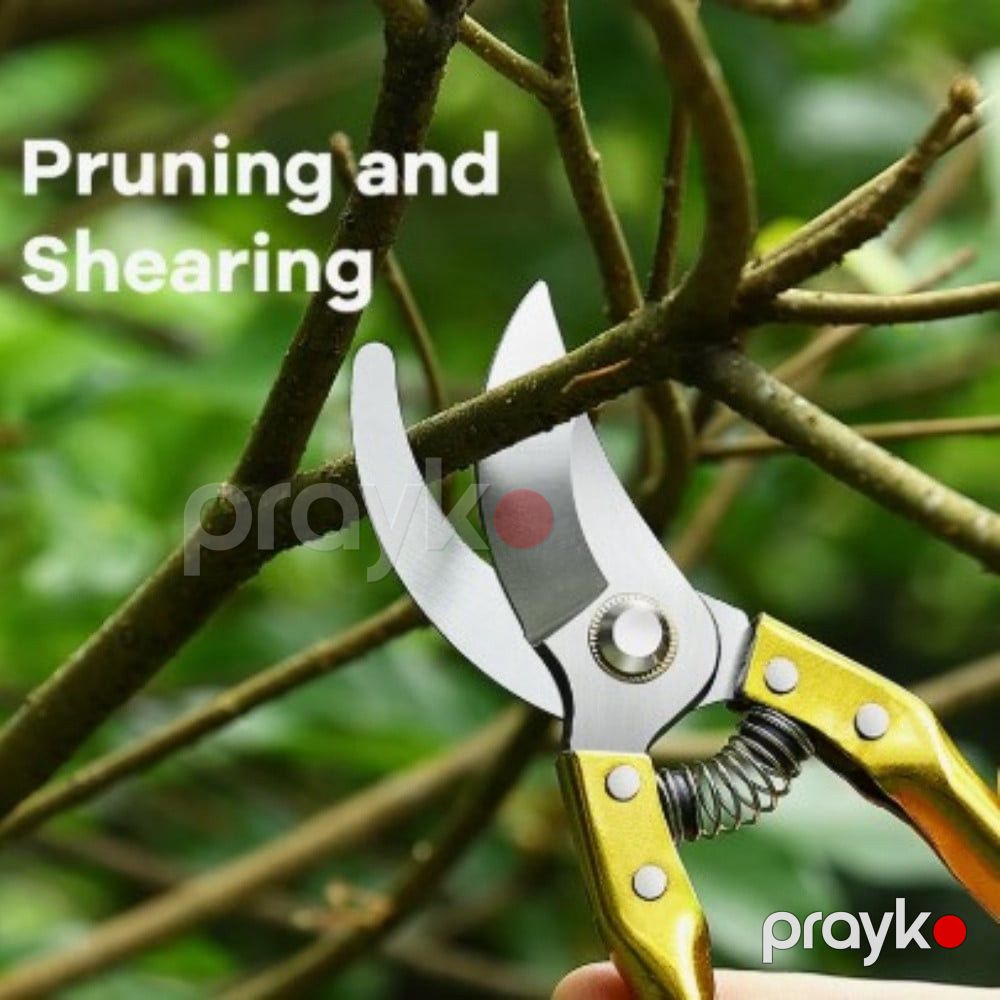Bağban qayçısı paslanmayan polad, qızılı rəng - prm_031 — Mallar, Bakı (2)