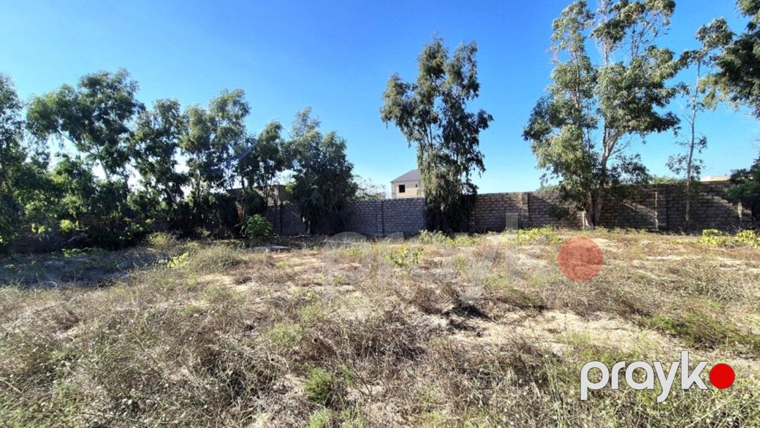 Satılır torpaq 15 sot — Torpaq, Bakı (7)