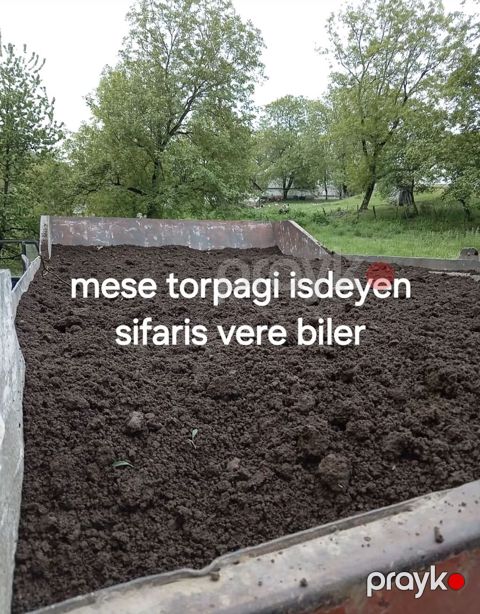 Qara Torpaq Və Peyin Torpaq Satışı: Kənd təsərrüfatı, bağçılıq və ya — İsmayıllı