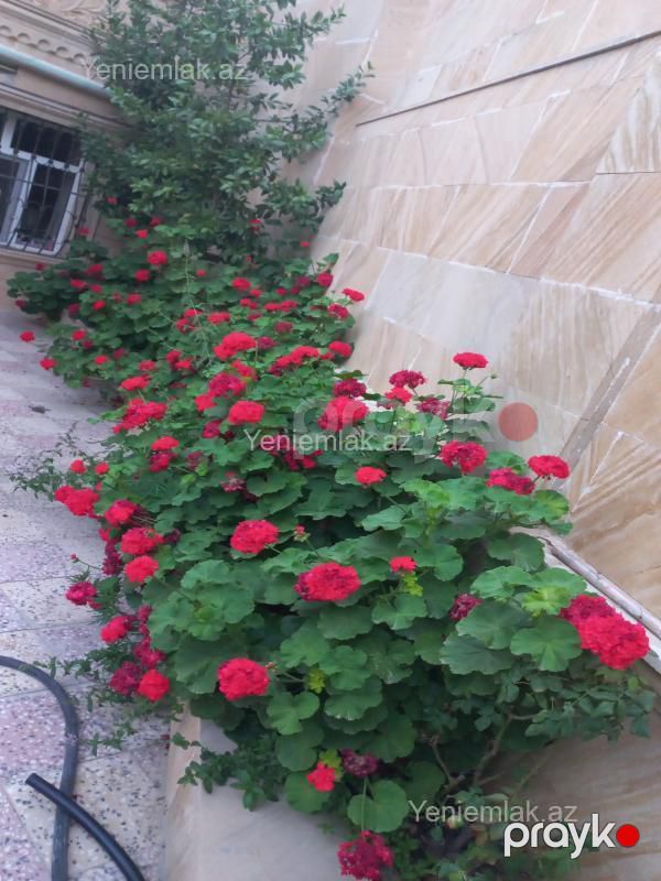 Satılır 8 otaqlı Həyət evi / Villa, 220 m², Suraxanı rayonu — Ev, villa, Bakı (6)