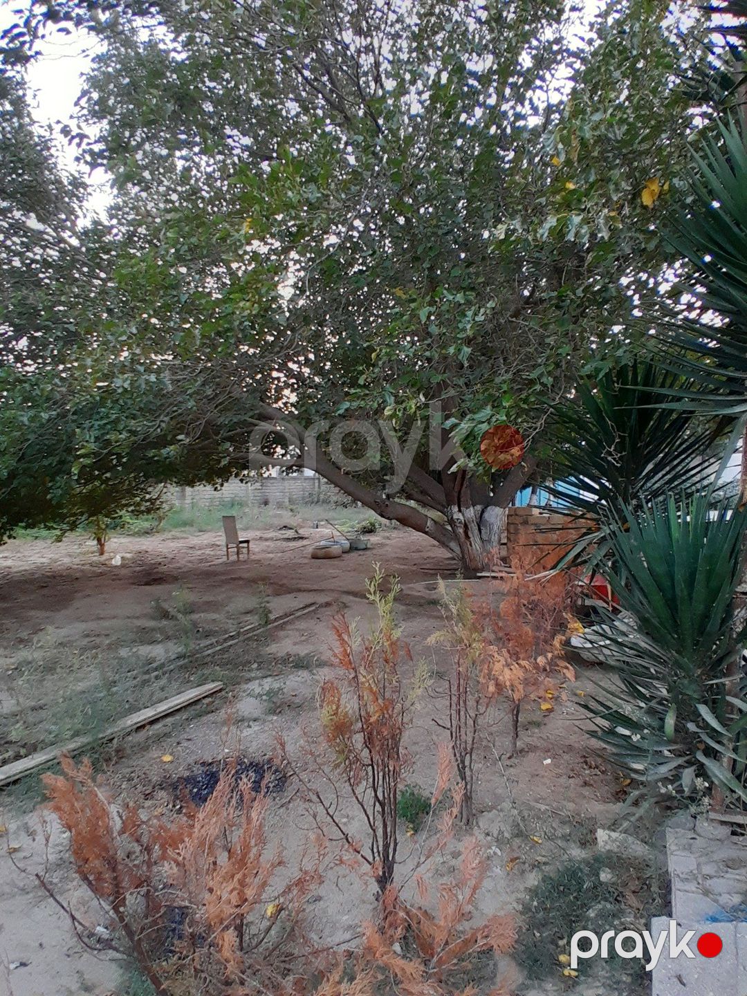 Satılır 4 otaqlı həyət evi/bağ evi 200 m² — Ev, villa, Bakı (9)