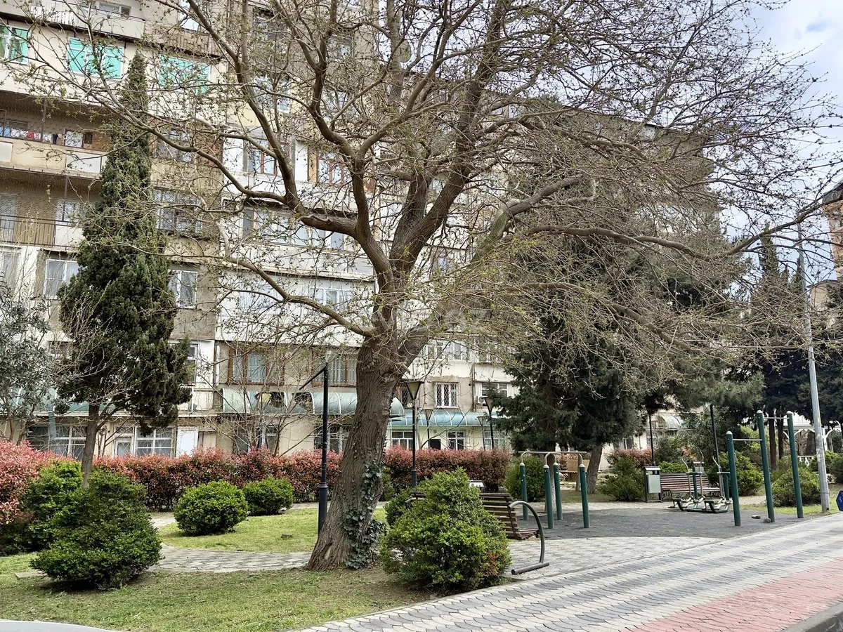 2 otaqlı tam təmirli mənzil satılır 9-cu mikrorayonda — Mənzil, Bakı (12)