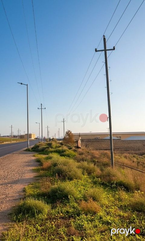 100 sot torpaq sahəsi, Novxanı qəs — Bakı