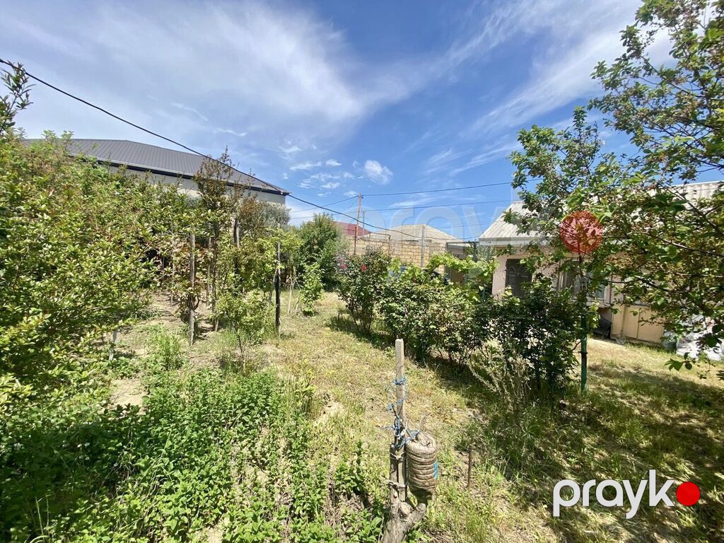 6 sot, Tikinti, Kupça (Çıxarış) — Torpaq, Digah (9)