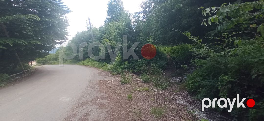 12 sot torpaq sahəsi, İsmayıllı r — Torpaq, İsmayıllı (2)