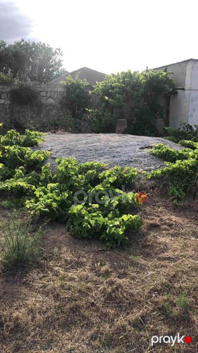 Satılır 2 otaqlı həyət evi/bağ evi 120 m² — Ev, villa, Bakı (6)