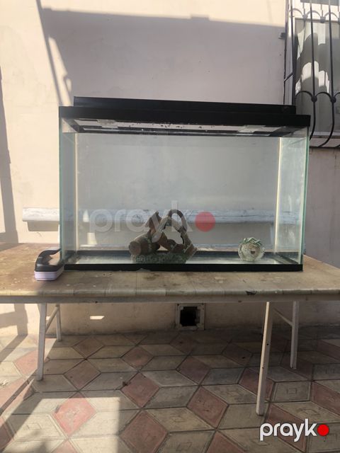 Akvariyun satılır 90 azn şekilde gorunen herbirşey. İsteen olsa 050-995-04-04 elaqe saxlasın — Bakı