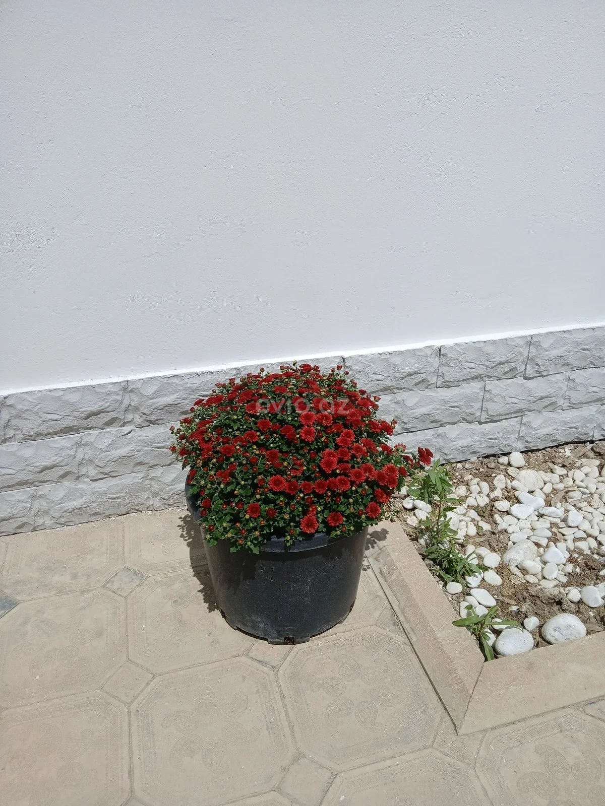 4 otaqlı həyət evi satılır Maştağa qəsəbəsində — Ev, villa, Bakı (11)