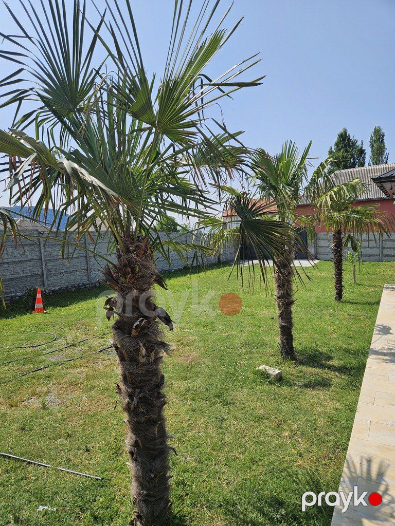 Həyət evi kirayə verilir, İsmayıllı r — Ev, villa, İsmayıllı (10)