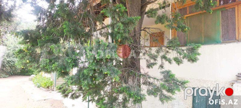 Torpaq Satılır Sabunçu r., Nardaran q., 31 sot — Torpaq, Bakı (4)