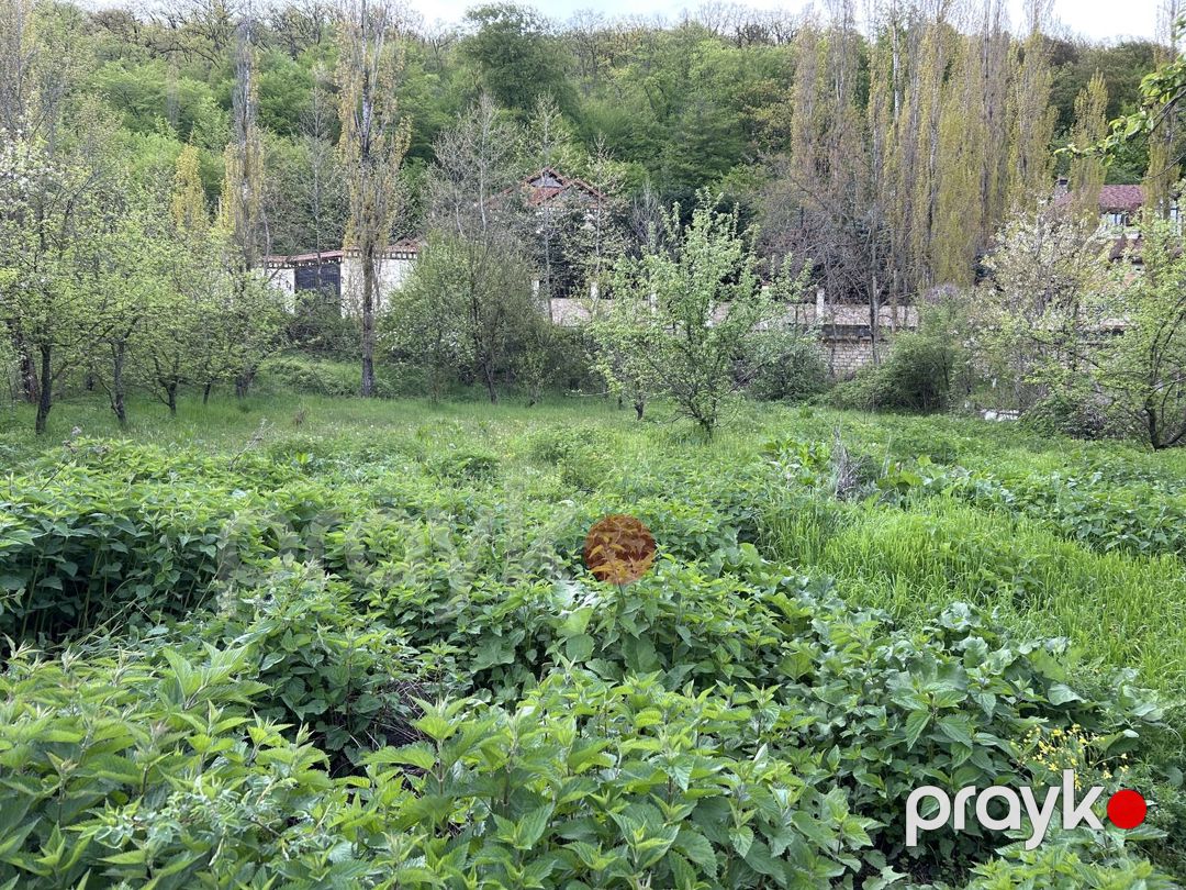 12 sot torpaq sahəsi, Qusar r — Torpaq, Qusar (2)