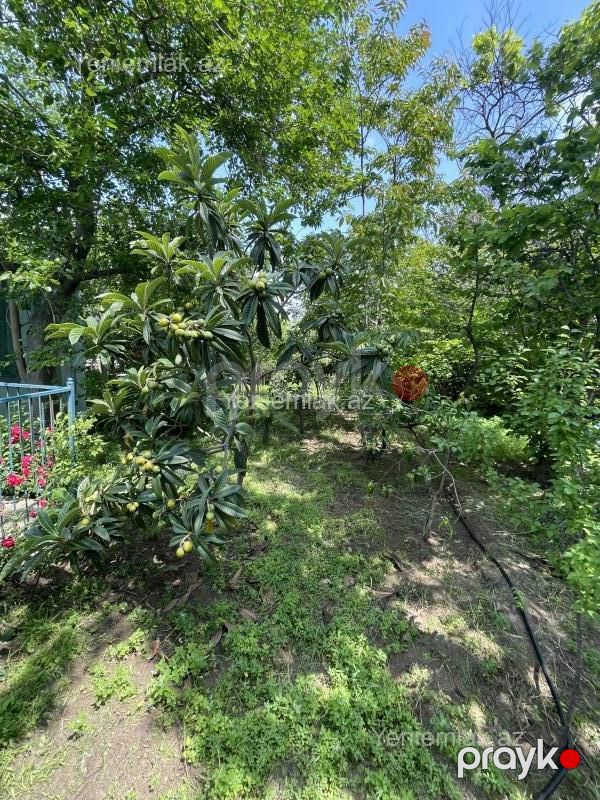 Satılır 3 otaqlı Həyət evi / Villa, 80 m², Novxanı — Ev, villa, Abşeron (6)
