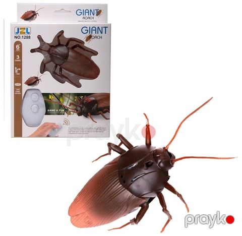 Radio ilə idarə olunan heyvan Tarakan Giant Roach 1288, 12+ yaş — Bakı