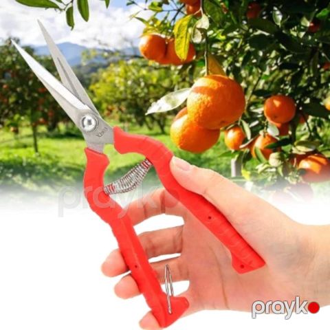 Bağban qayçısı, sərt və aşınmaya davamlı, iti bıçaqlı, paslanmayan polad, sürüşməyən tutacaq və yay mexanizmi ilə - prm_025 — Bakı