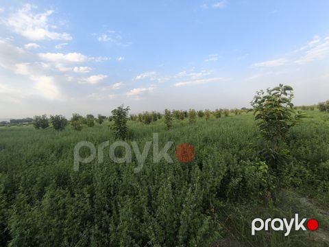 Satılır torpaq 260 sot — Ağdaş