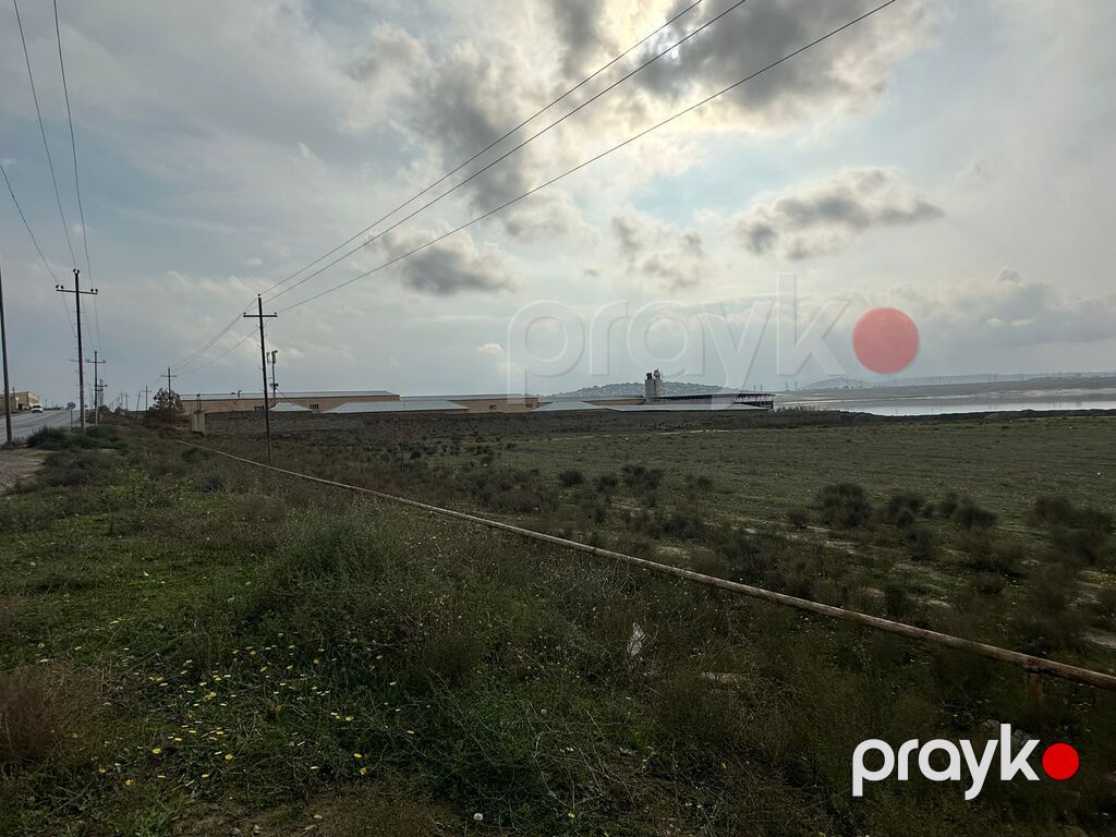 100 sot torpaq sahəsi, Novxanı qəs — Torpaq, Bakı (8)