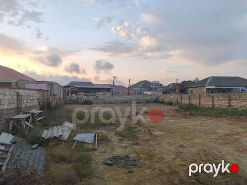 6 sot, Tikinti, Kupça (Çıxarış) — Bakı