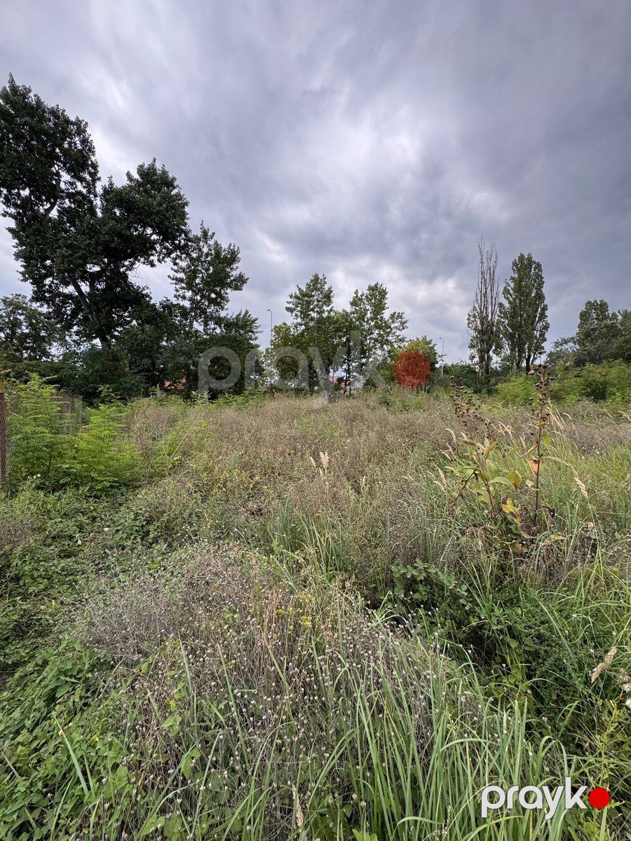 5 sot torpaq sahəsi, Qusar ş — Torpaq, Qusar (2)