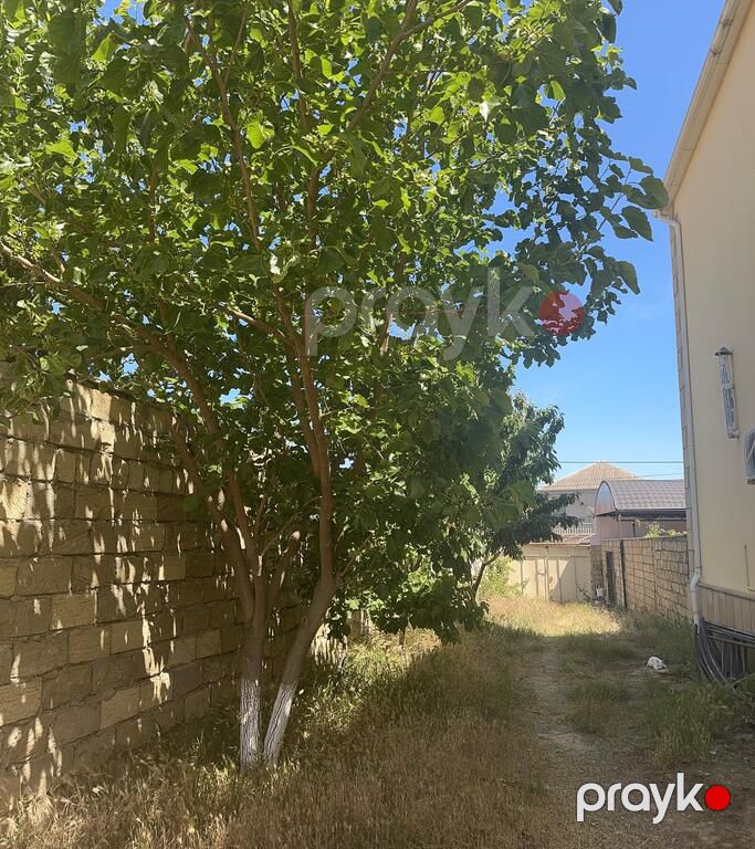 Satılır torpaq 6 sot — Torpaq, Bakı (4)