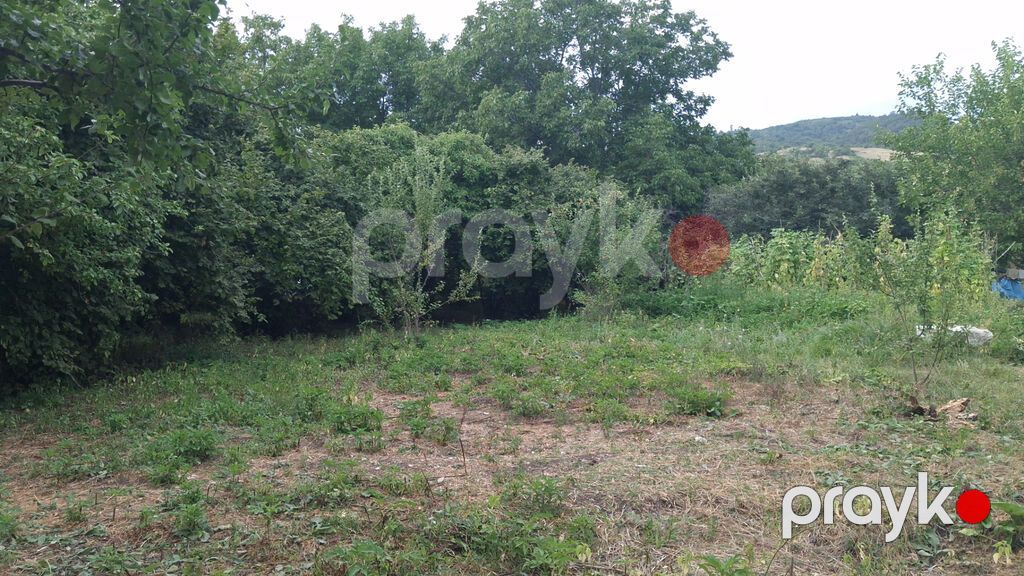 Torpaq sahəsi 20 sotdur.İsmayıllı rayonu Diyallı kəndi ərazisində — Torpaq, İsmayıllı (8)