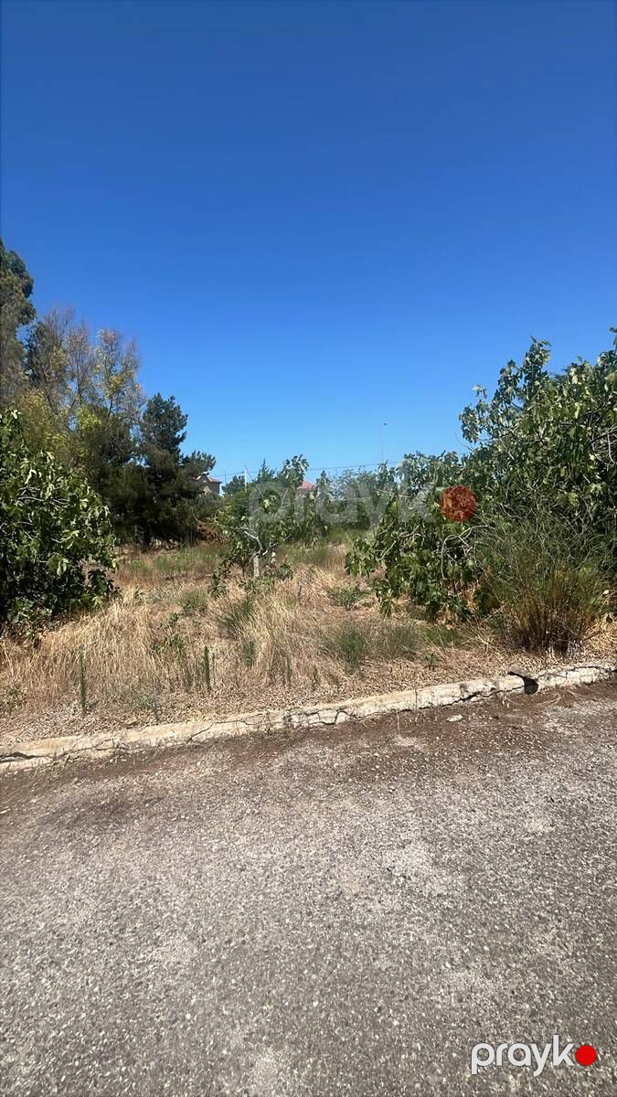 Satılır torpaq 22 sot — Torpaq, Bakı (6)