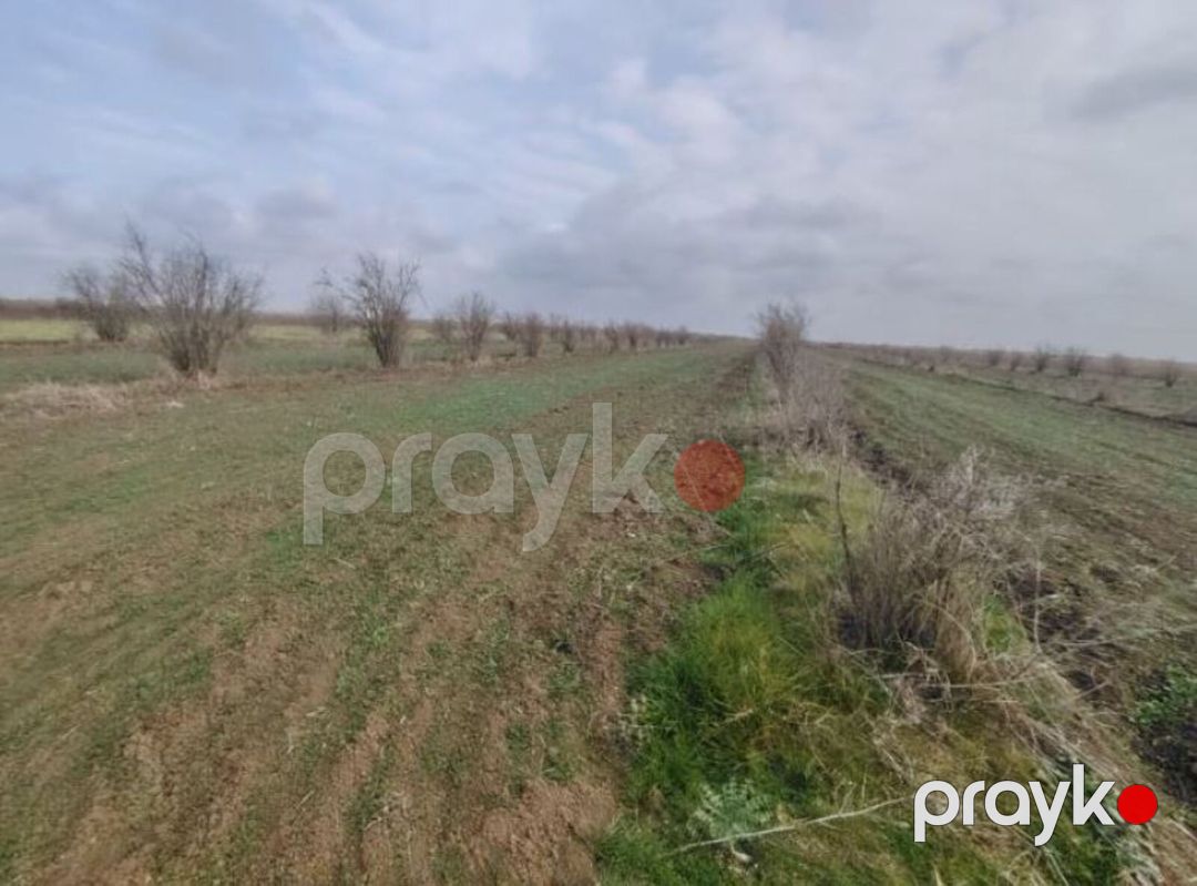 Satılır torpaq 4630.1 sot — Torpaq, Biləsuvar (4)