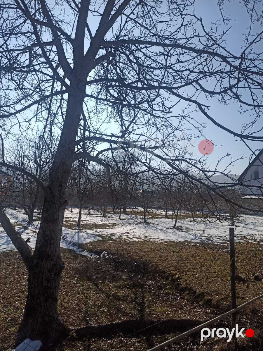 Satılır torpaq 10 sot — Torpaq, Qusar (2)