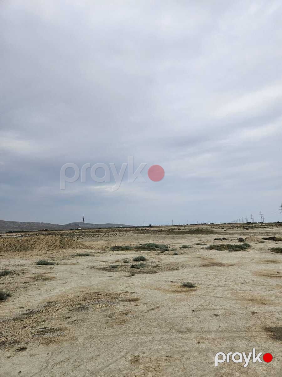 Satılır torpaq 2000 sot — Torpaq, Bakı (3)