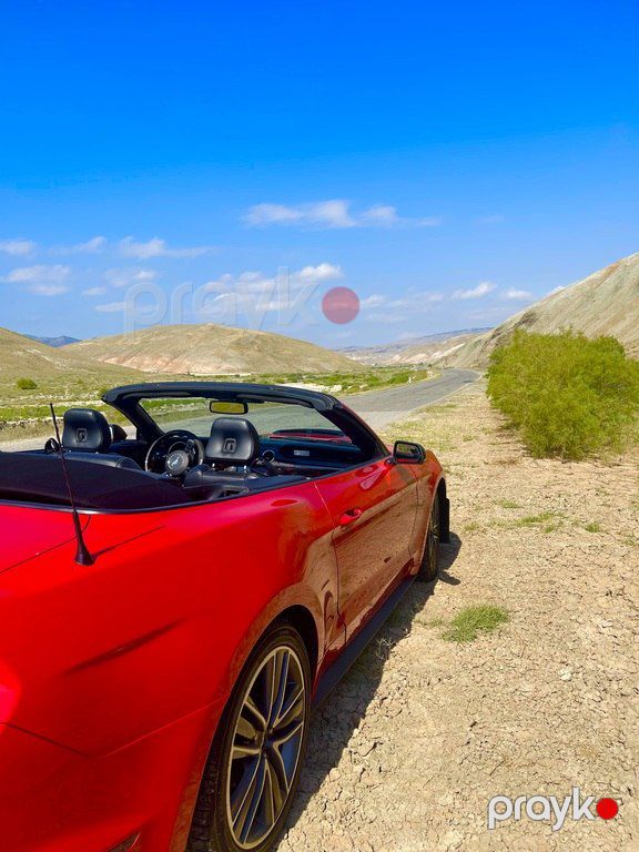 Ford Mustang, 2.3 L, 2017 il, 190 000 km — Avtomobillər, Bakı (9)