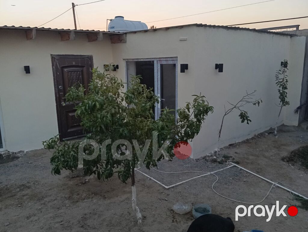 1 mərtəbəli həyət evi - Həyətyanı sahə: meyvə ağacları ilə kiçik bağ — Ev, villa, Bakı (3)